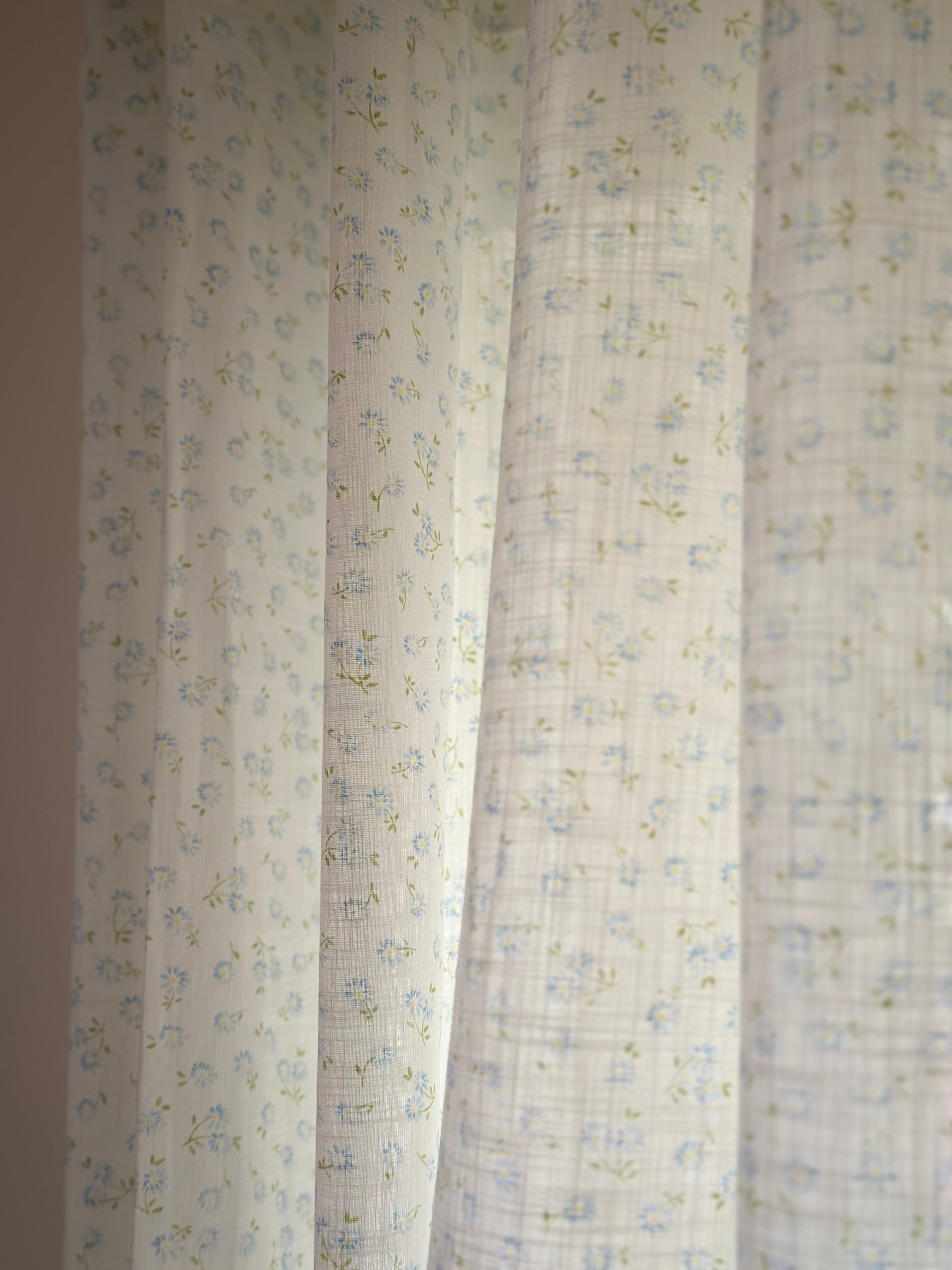 Daisy Semisheer Curtain