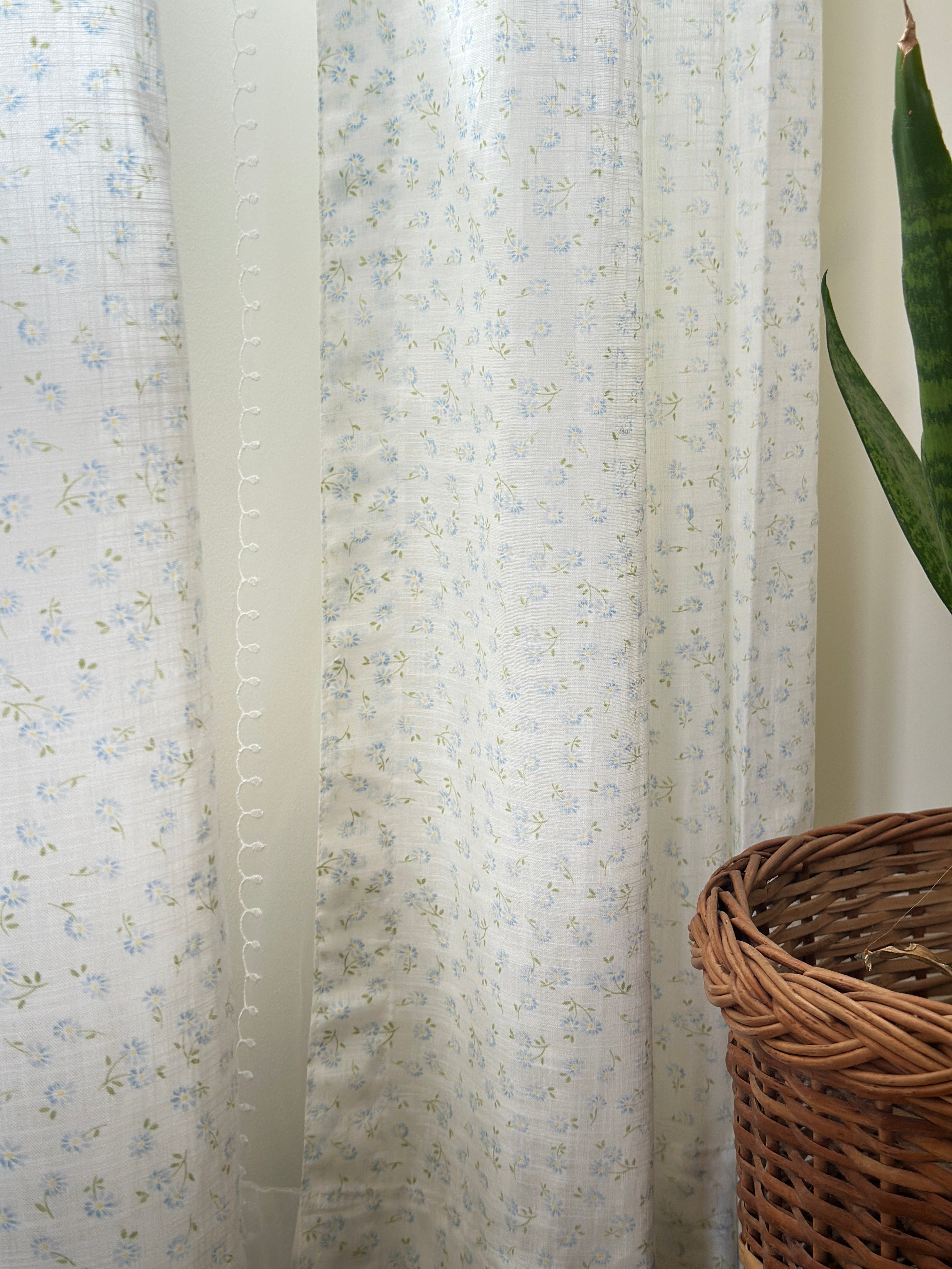 Daisy Semisheer Curtain